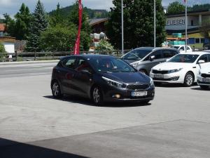 kia treffen 2014 166