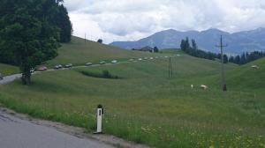 kia treffen 2016 187