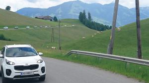 kia treffen 2016 188